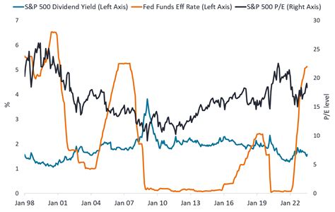 The Ascendancy of Wild Provocative: Earnings Unveiled