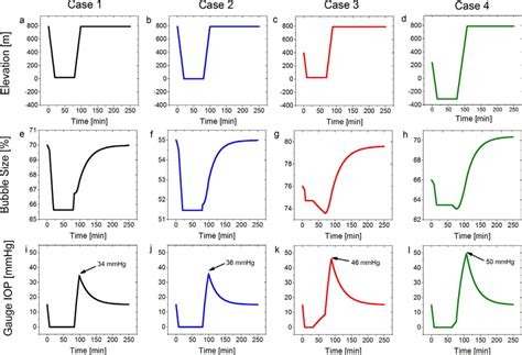 The Ascent of Taylan Kiss: Years Lived, Elevation, and Physical Form Insights