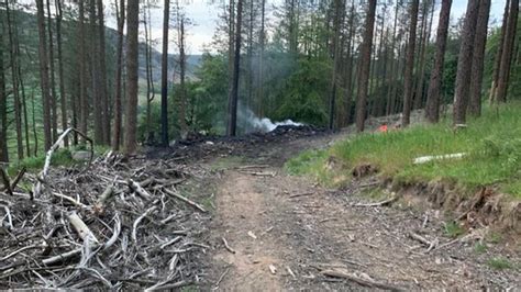 The Astonishing Discovery of a Blaze-Ravaged Woodland