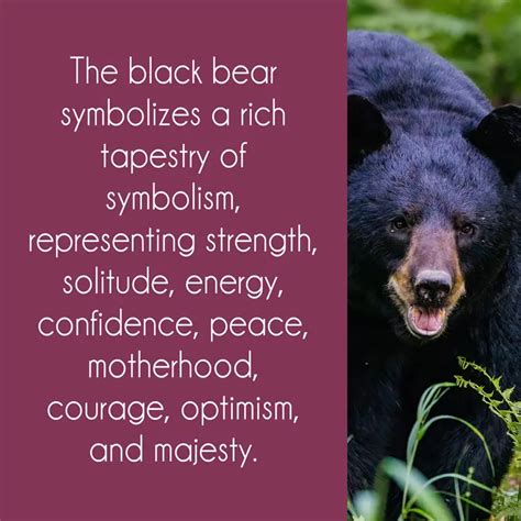 The Bear Embrace: Exploring the Symbolism of Physical Contact within the Enigmatic Big Black Bear