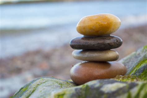 The Beauty of Balance: Discovering Harmony in Total Tranquility