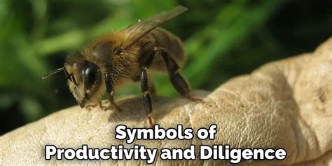 The Bee as a Symbol of Productivity and Diligence