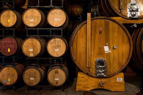 The Beginnings and Evolution of Winemaking