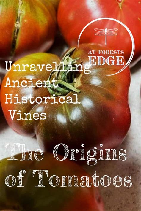 The Beginnings of Tomatoes and Pepper: Unraveling their Ancient Origins