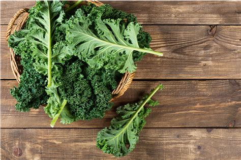 The Benefits of Cultivating Your Own Leafy Greens