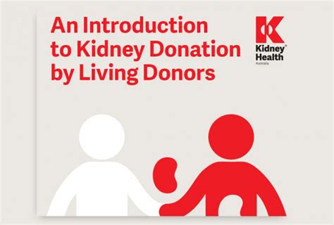 The Benefits of Kidney Donation: Enhancing Donors' Health and Well-being