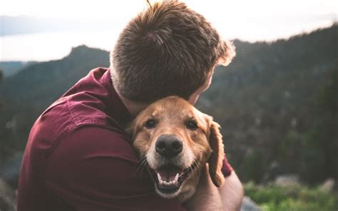 The Benefits of Showing Love to Your Furry Friend: A Way to Foster a Deep Connection