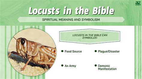 The Biblical Significance of Locusts