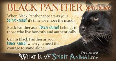 The Black Panther's Significance as a Representation of Feminine Empowerment and Intuition