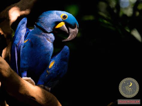 The Blue Parrot as a Guide: Decoding its Role in Dream Analysis