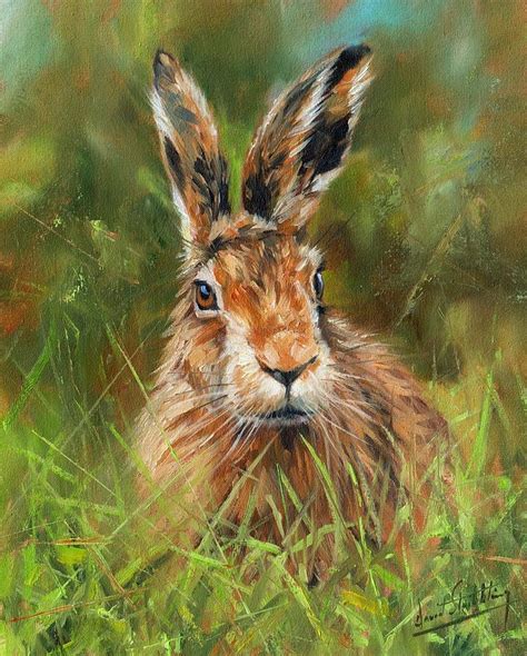 The Brown Hare in Art: Depictions and Interpretations