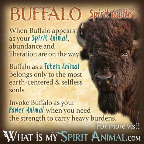 The Buffalo's Connection to Native American Culture and Spirituality