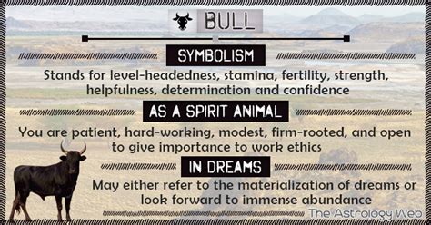 The Bull as a Representation of Determination and Perseverance