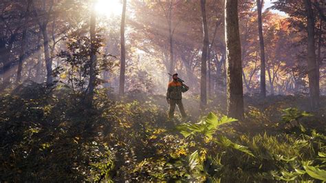 The Call of the Wild: Embracing the Freedom of Vast Open Spaces