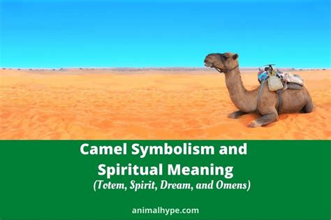 The Camel's Association with Wealth and Abundance in Symbolism