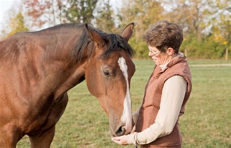 The Captivating Bond Between Humans and Equines