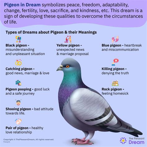 The Captivating Symbolism of Pigeons in Dreams