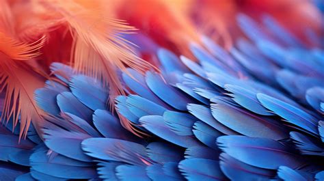 The Captivating Universe of Avian Plumage