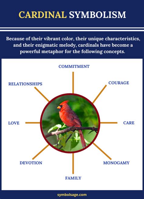 The Cardinal Bird: A Symbol of Hope and Renewal