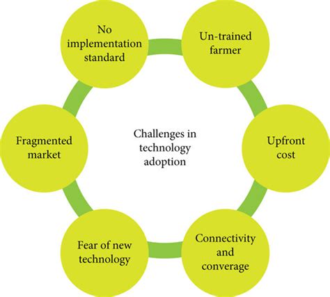 The Challenges of Achieving Widespread Adoption and Implementing Appropriate Regulation