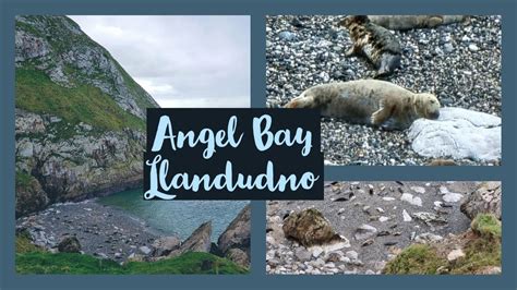 The Charitable Side of Angel Bay