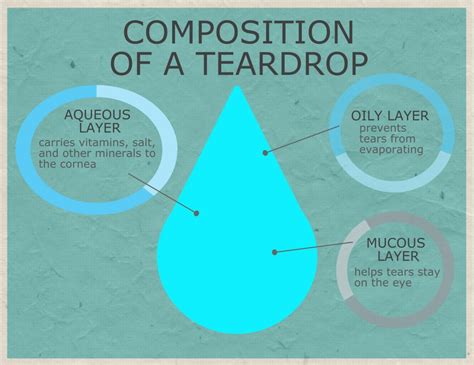 The Chemistry Behind Our Tears: A Scientific Exploration