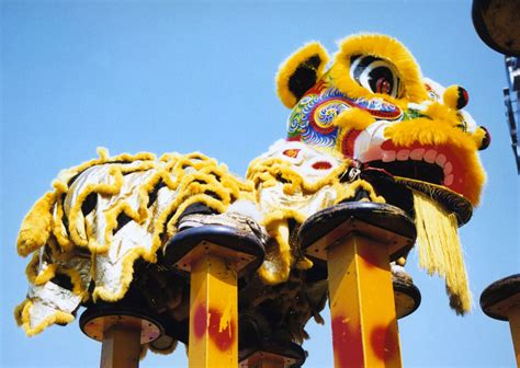 The Chinese Lion's Role in Traditional Festivals and Celebrations