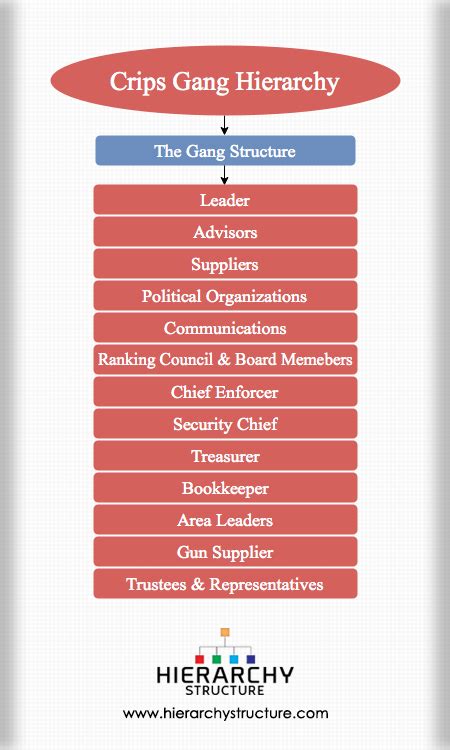The Code: Exploring the Rules and Hierarchies within Gangs
