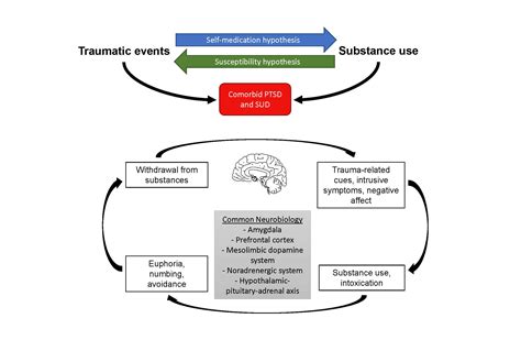 The Complex Correlation Between Substances and Dream Experiences