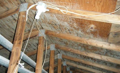 The Concealed Hazards of Roof Leaks: Fungal Growth, Internal Harm, and Structural Complications