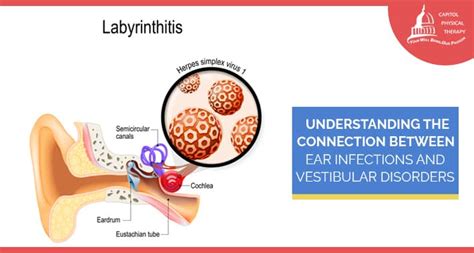 The Connection Between Ear Infections and Dream Patterns