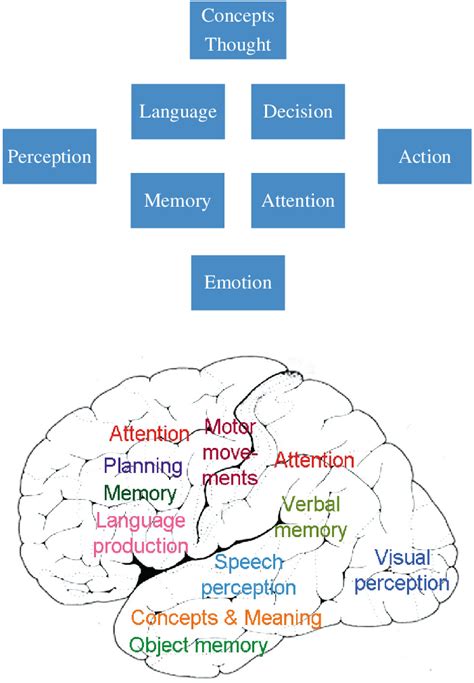 The Connection Between Education and Expanding Cognitive Capacities