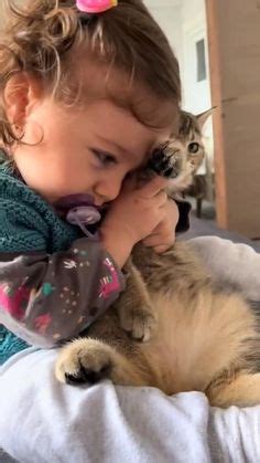 The Connection Between Kittens and Innocence