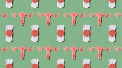 The Connection Between Menstruation and the Uterus