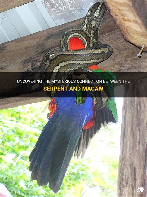 The Connection Between Serpent, Ingenuity, and Metamorphosis