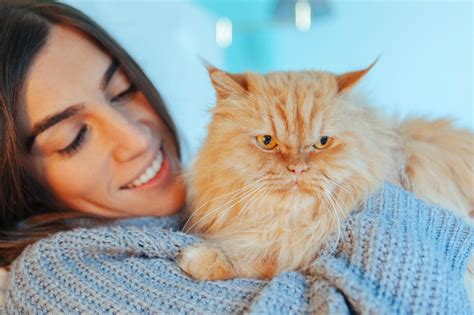 The Connection Between Young Cats and Their Owners