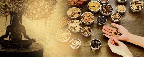 The Connection between Ayurveda and Hindu Dietary Philosophy