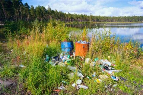 The Consequences of Littering on the Environment