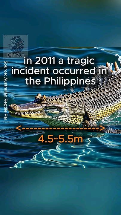 The Crocodile's Remarkable Healing Abilities: A Natural Phenomenon