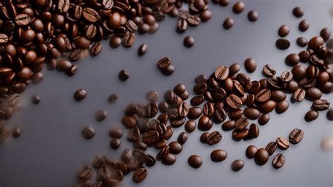 The Crucial Role of Coffee Beans in Crafting the Perfect Cup