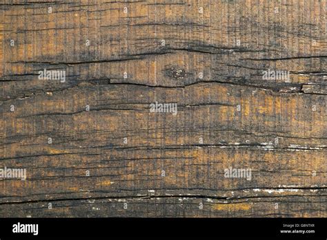 The Cryptic Significance Concealed Within Deteriorating Timber in Reveries