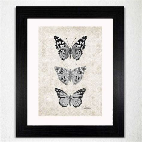 The Cultural Interpretations of Monochrome Butterflies