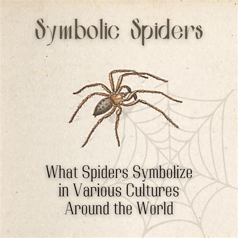 The Cultural Interpretations of Spiders: A Multifaceted Perspective