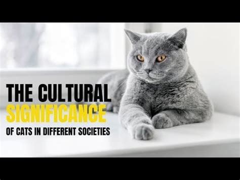 The Cultural Significance of Cats: Exploring Different Societies' Influence on Feline Imaginations