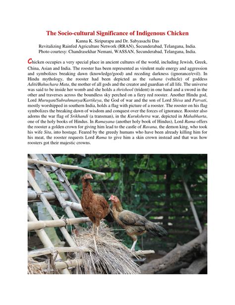 The Cultural Significance of Chickens in Different Societies