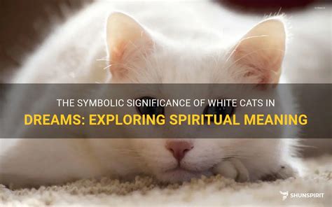 The Cultural Significance of Felines as Symbolic Creatures in Dreams