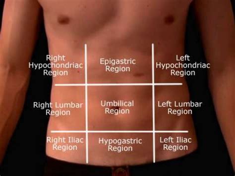 The Curious Case of Having a Pair of Abdominal Indentations