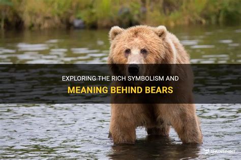 The Deep Meaning and Symbolism Behind Bear Dreams: Revealing the Hidden Significance