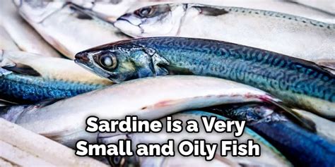 The Deeper Meanings: Exploring the Symbolism of Sardines in Dream Psychology