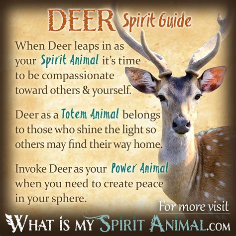 The Deer as a Spiritual Guide and Symbol of Grace